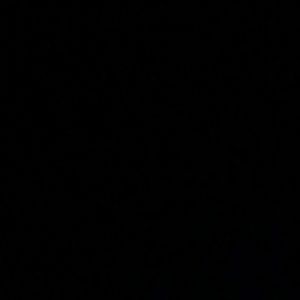 Meet your Posher, Topazio